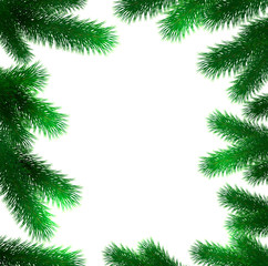 Fototapeta na wymiar Frame pictures from Christmas branches of fir