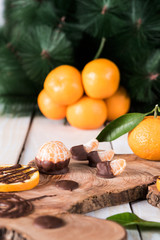 Fototapeta na wymiar Citruses with chocolate