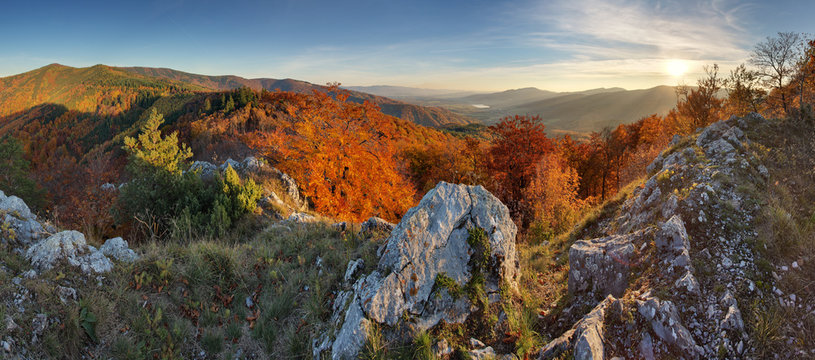 Autumn forest mountain panorama