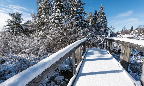 A fresh fallen snow covers a footbridge on a walking path in the woods.  Nature winter scenic. 