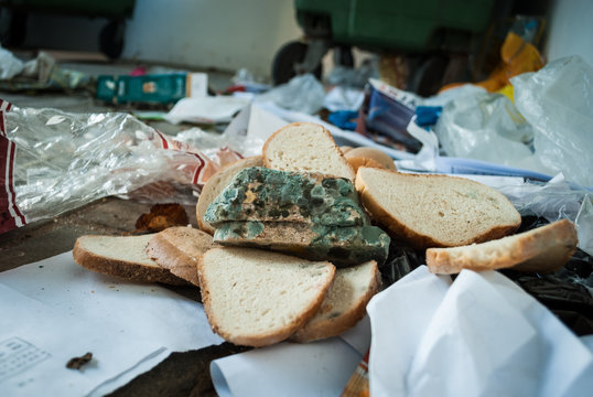 Moldy Bread In The Trash - Wasted Food.