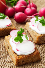 Bruschetta with white soft cheese and fresh radishes on sackclot