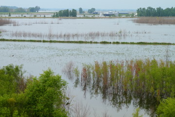 Flood in Midwest