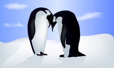 Vector illustration of valentine's card with two penguins