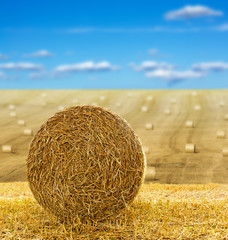 hay bale in field
