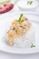 Stewed chicken in a cream with paprika and italian herbs with rice on a white plate.