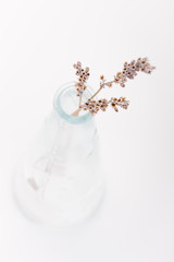 Dried lavender in a glass bottle on a white background. Selective focus.