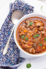 Chicken ragout with pumpkin, mushrooms and oregano stewed in red wine in a white ceramic bowl. Top view.