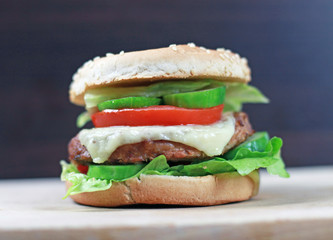 tasty hamburger