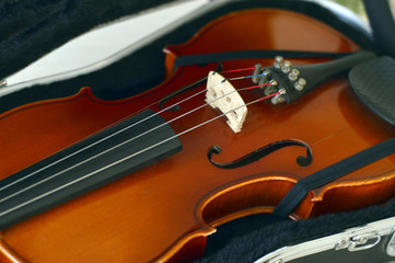 Fototapeta premium Violin music wooden instrument.