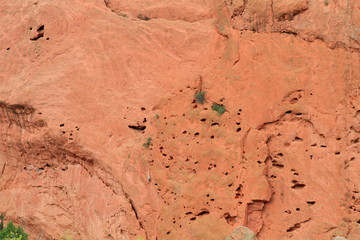 Rock climber in Garden of Gods
