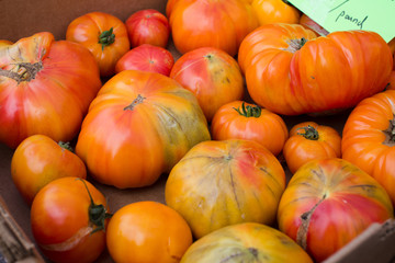 Fototapeta na wymiar fresh garden red tomatoes healthy