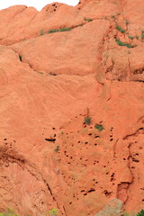 Rock climber in Garden of Gods