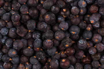 Fototapeta premium Dried black currant
