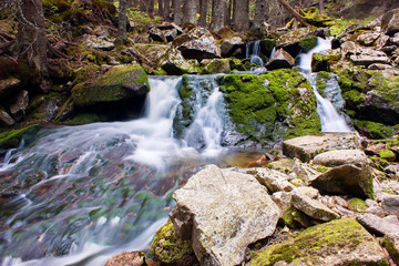 Fototapeta premium Small waterfall in the forest