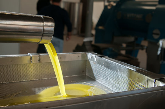 Olive oil running from a steel pipe into a metal decanter inside an oil mill