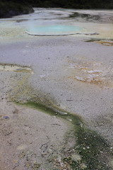 Artist’s Palette
