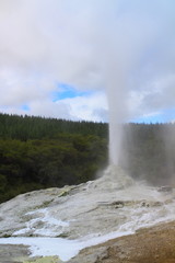 Lady Knox Geyser