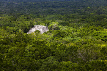 Maya-Ruinen in Calakmul