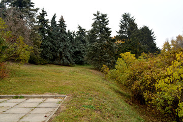 Осенний парк в столице Украины - Киеве