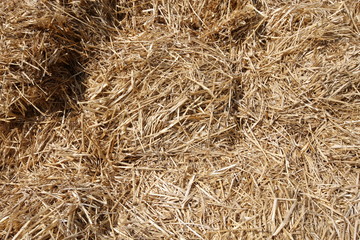 Die Nadel im Heuhaufen