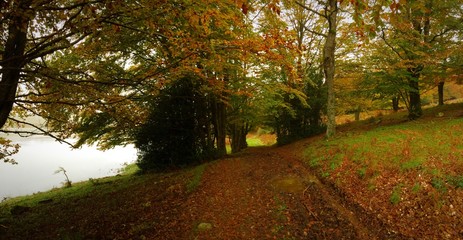 i nebrodi in autunno