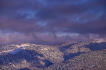 winter landscape in Black Forest, Germany