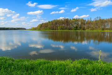 Fototapeta na wymiar Green grass and reflection of clouds in water of a lake and trees in background, Poland