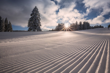 fresh groomed skiing slope in Flack Forest, Germany - 96925642