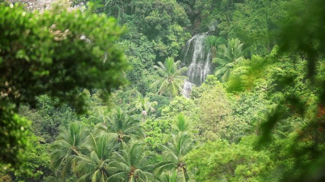 Tropical waterfall flows through dense rainforest