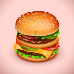 picture of hamburger