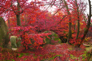 Dovbush Rocks in Bubnyshche