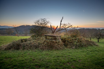 hunter's blind in German landscape