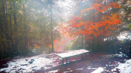 first snow in the autumn