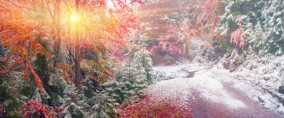 Foto op Canvas first snow in the autumn © panaramka