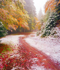 first snow in the autumn