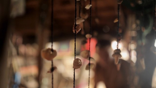 Sea shells on a string swaying at house