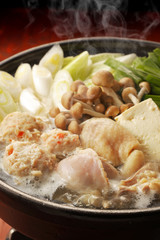 鶏の寄せ鍋　Chicken hot pot
