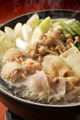 鶏の寄せ鍋　Chicken hot pot