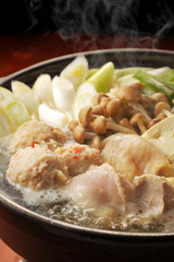 鶏の寄せ鍋　Chicken hot pot