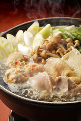 鶏の寄せ鍋　Chicken hot pot