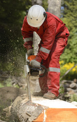 Man Working With Chainsaw