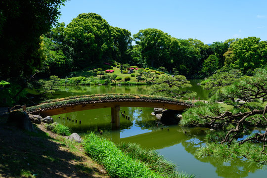 Kiyosumi Gardens in Tokyo