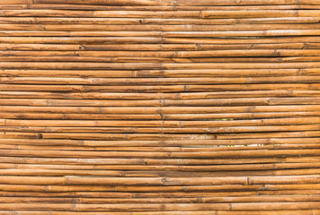 bamboo wood of fence wall background