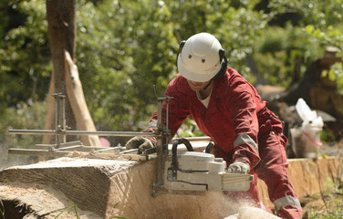 Man Working With Chainsaw