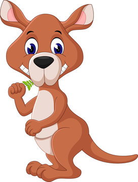 illustration of Cute kangaroo cartoon 
