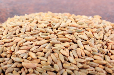 Heap of organic rye grain