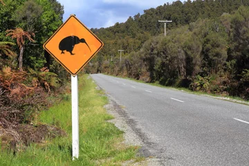 Foto op Canvas Kiwi Crossing Sign © georgeburba