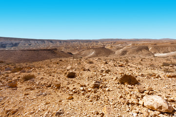  Negev Desert