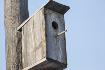 Birdhouse